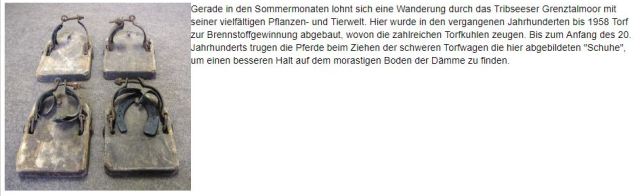 Exponat des Monats 8.17